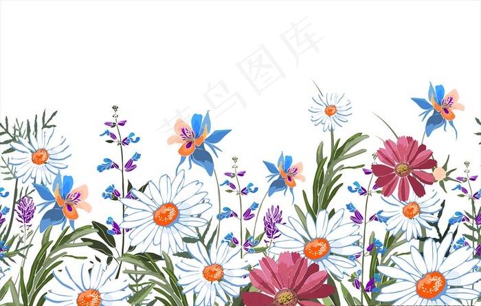 花卉图片ai矢量模版下载