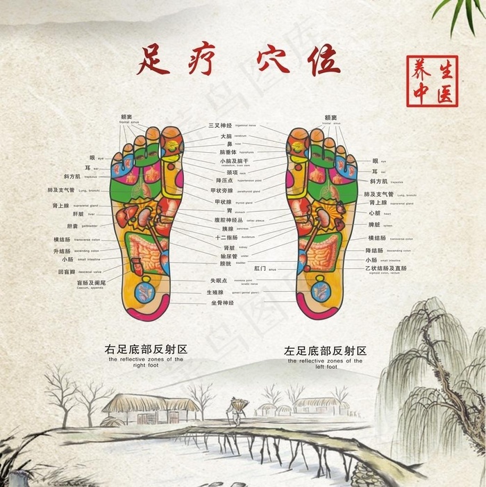 足疗穴位图图片cdr矢量模版下载