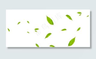 绿叶树叶叶子图片