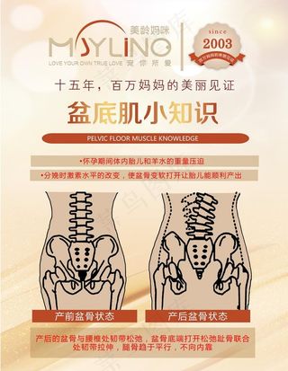 美龄妈咪产后修复中心盆底肌小知图片
