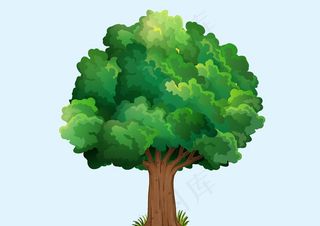 卡通树图片