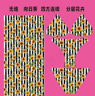 向日葵条纹印花图片