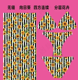 向日葵条纹印花图片