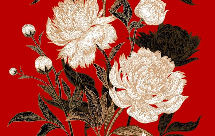 花卉图片ai矢量模版下载