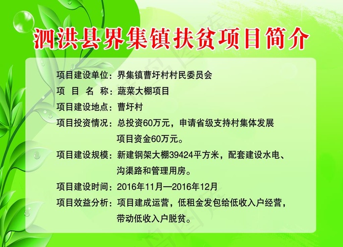 项目简介图片