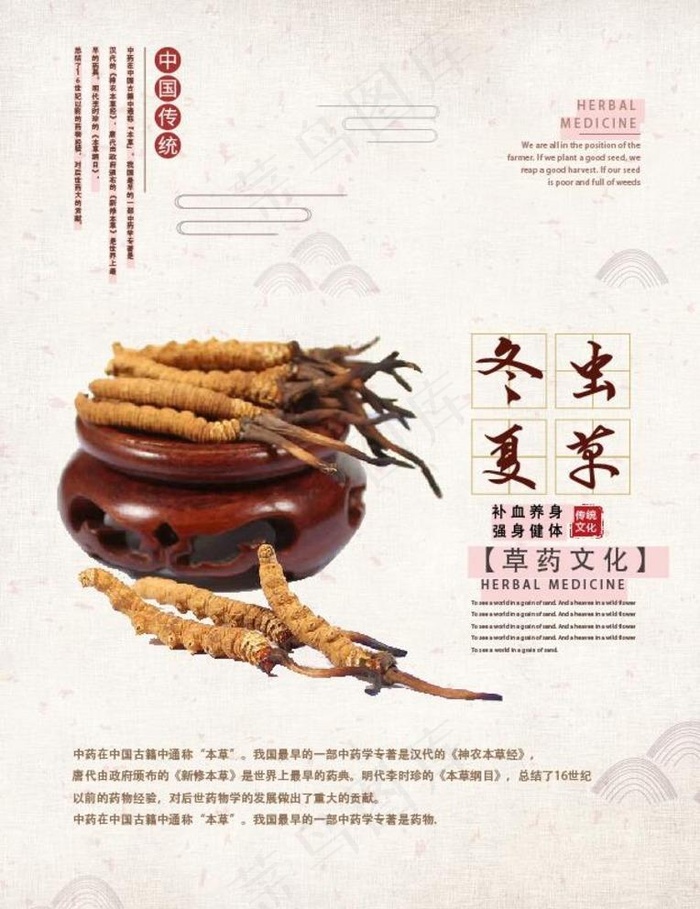冬虫夏草图片ai矢量模版下载
