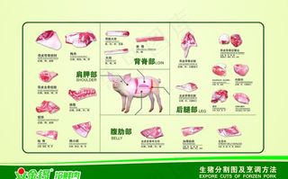 金锣猪肉分割图图片