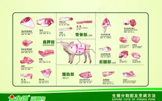 金锣猪肉分割图图片