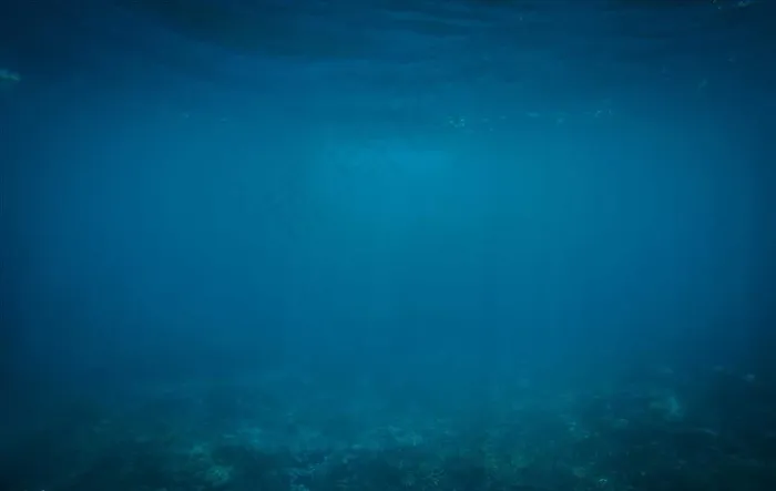 海水图片