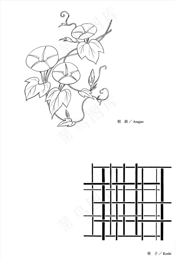 线描花朵图片ai矢量模版下载