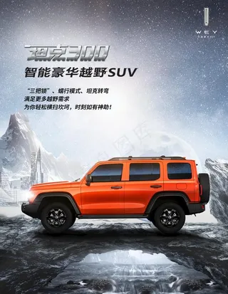 坦克300智能豪华越野SUV图片