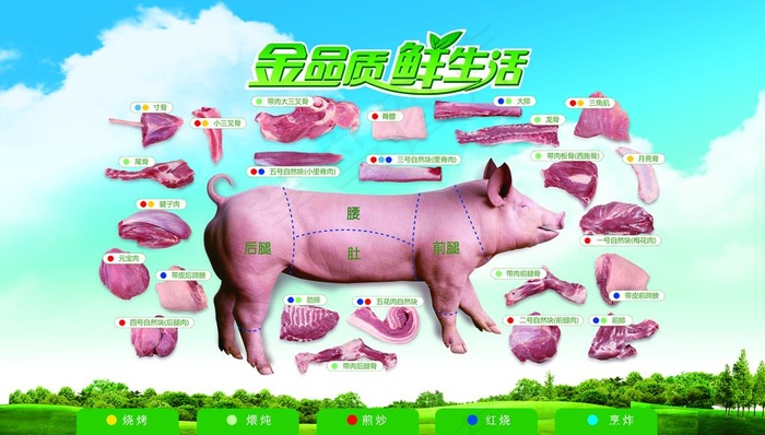 猪肉分布图图片(4724X2834(DPI:40))psd模版下载