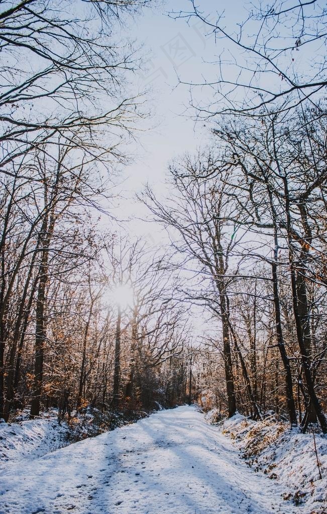 雪景图片