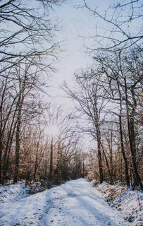 雪景图片 雪景图片