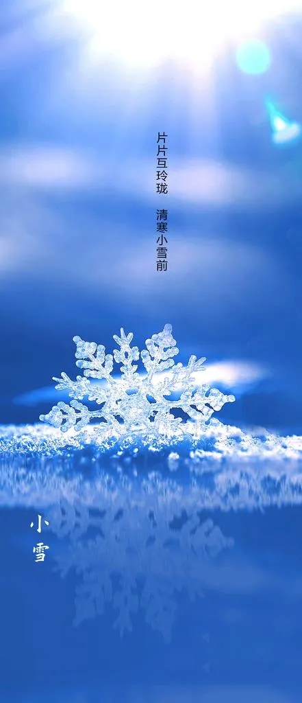 地产质感小雪节气海报图片psd模版下载