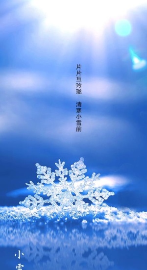 地产质感小雪节气海报图片