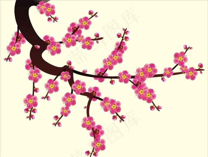 梅花图片cdr矢量模版下载