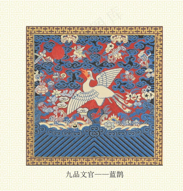 九品蓝鹊图片