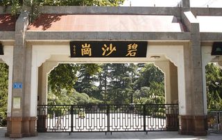 碧沙岗西门图片