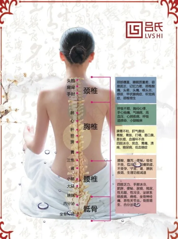 脊柱颈椎胸椎腰椎骶骨引发疾病图片(3071X4252(DPI:150))psd模版下载