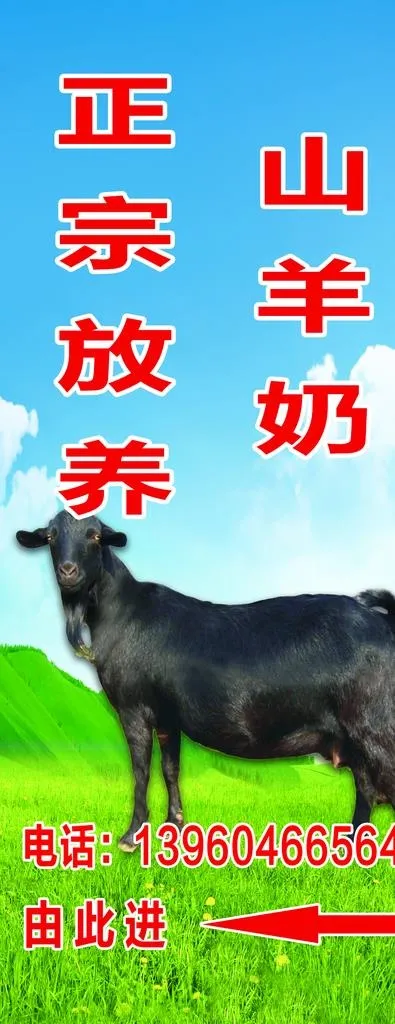 羊奶图片(2362X5669(DPI:120))psd模版下载