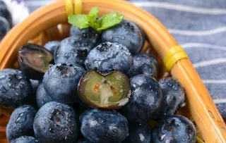 蓝莓图片
