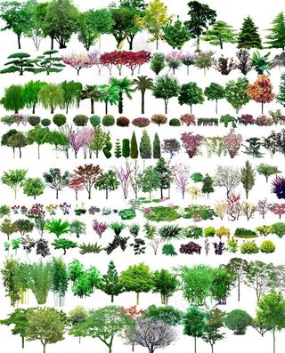 园林后期立面PS素材图片