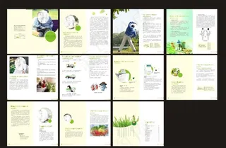 糖尿病画册图片