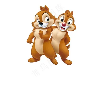松鼠图片
