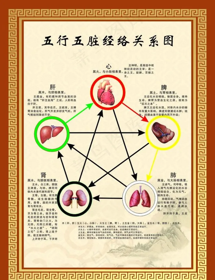 五行五脏经络关系图片cdr矢量模版下载