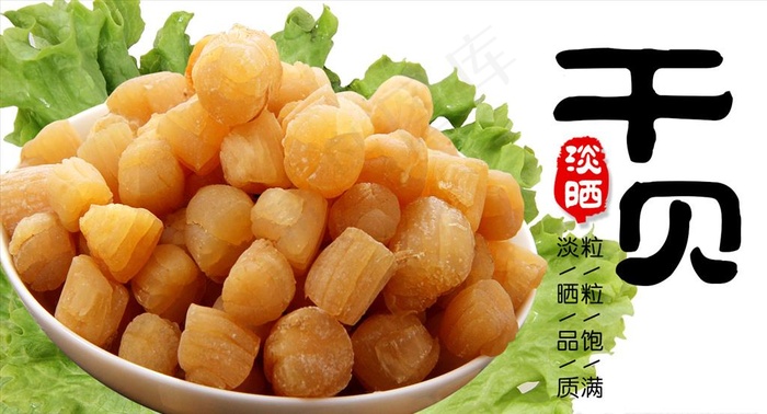 干贝图片psd模版下载