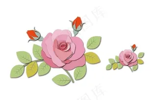 花  玫瑰花图片