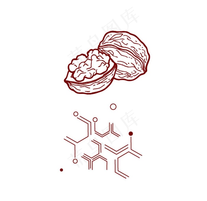 核桃肽分子结构图片ai矢量模版下载