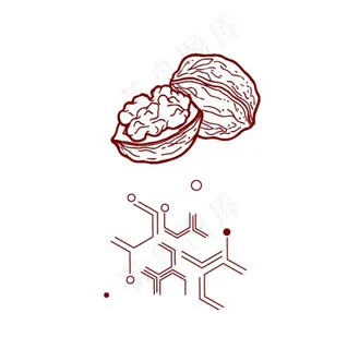 核桃肽分子结构图片 核桃肽分子结构图片