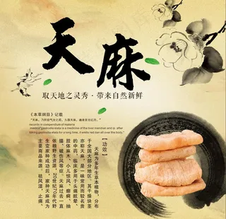 天麻海报 药材 天麻图片