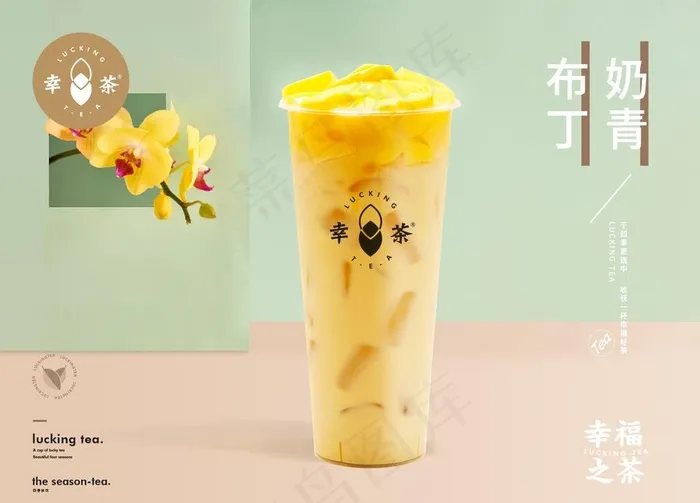 布丁奶青图片