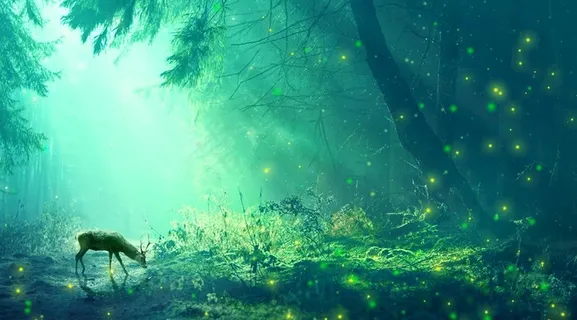 梦幻森林背景图片