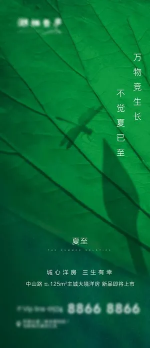 地产夏至节气海报图片