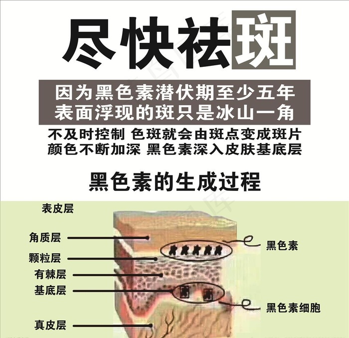 尽快祛斑图片cdr矢量模版下载