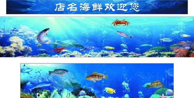 海底世界图片 海底世界图片