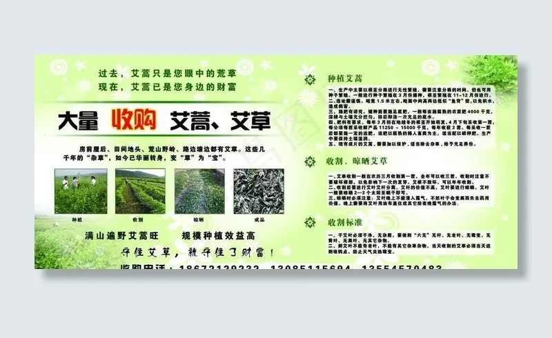 收购艾叶墙面广告图片(14961X7087(DPI:100))psd模版下载