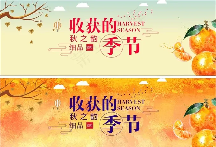 收获的季节 树枝 水果 桔子图片cdr矢量模版下载