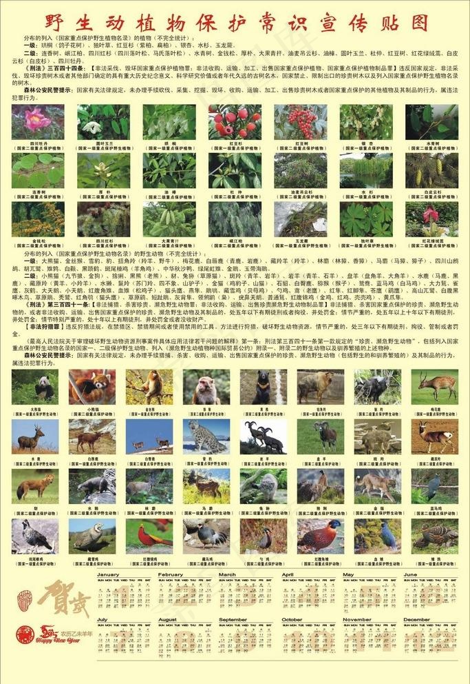 森林保护宣传资料图片cdr矢量模版下载