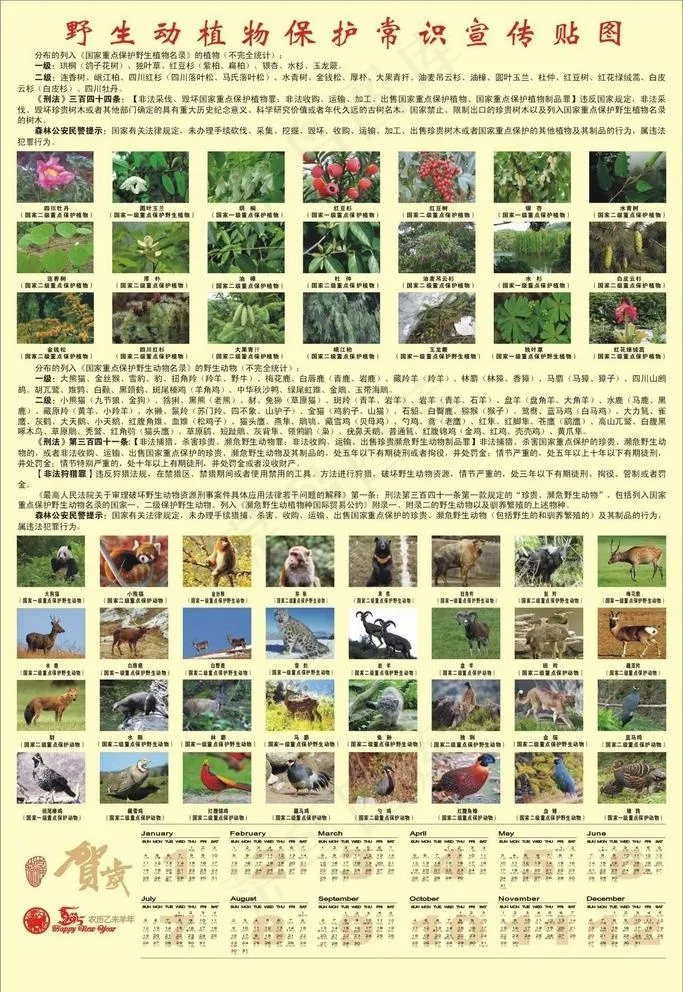 森林保护宣传资料图片cdr矢量模版下载