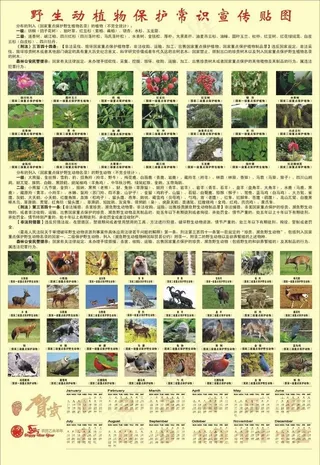 森林保护宣传资料图片