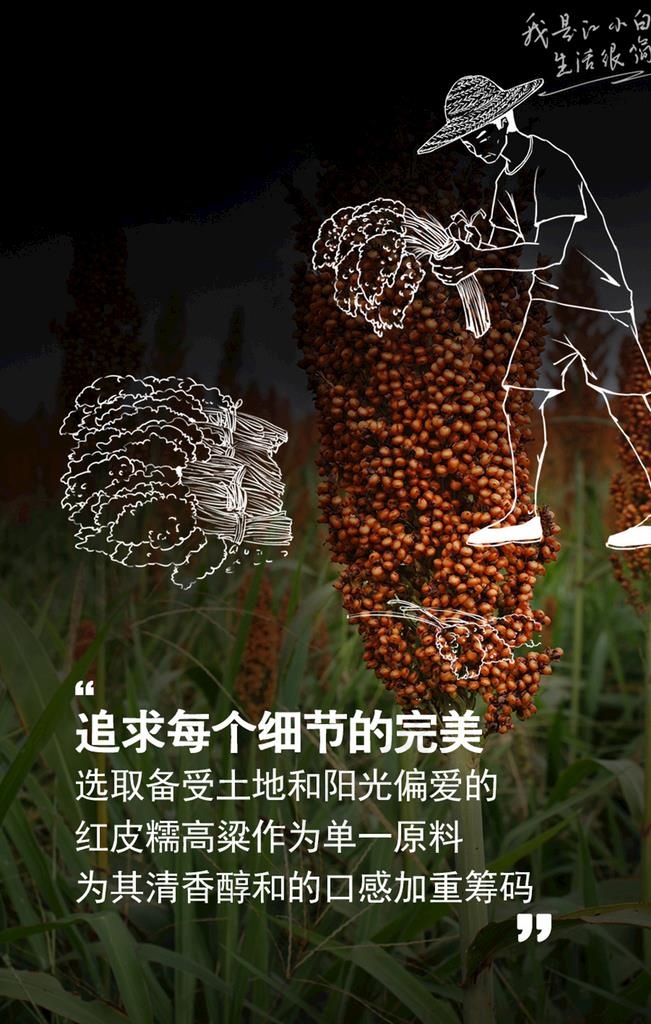 江小白 单纯 高粱酒图片