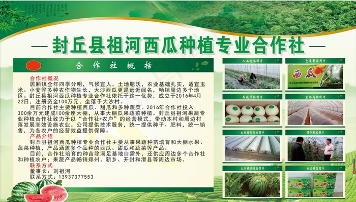 农场公司简介海报展板图片(210X297)cdr矢量模版下载
