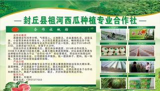 农场公司简介海报展板图片