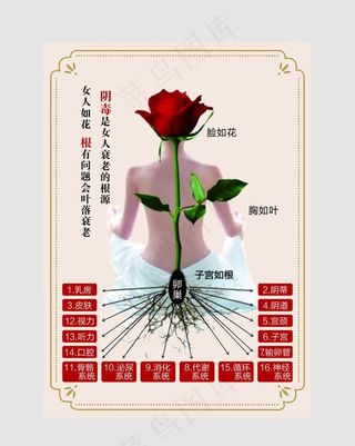 女人如花图片