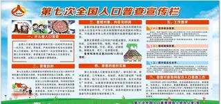 第七次全国人口普查图片